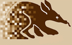Aardvark Systems And Programming